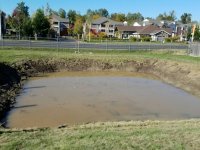 Pond and Bio Swale Cleaning