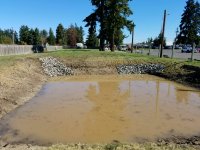 Pond and Bio Swale Cleaning