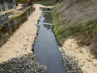 Pond and Bio Swale Cleaning