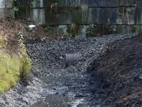 Pond and Bio Swale Cleaning