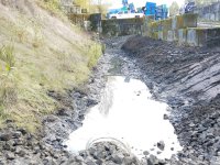 Pond and Bio Swale Cleaning
