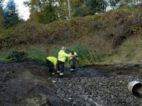 Pond and Bio Swale Cleaning