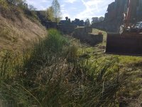 Pond and Bio Swale Cleaning